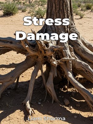 cover image of Stress Damage